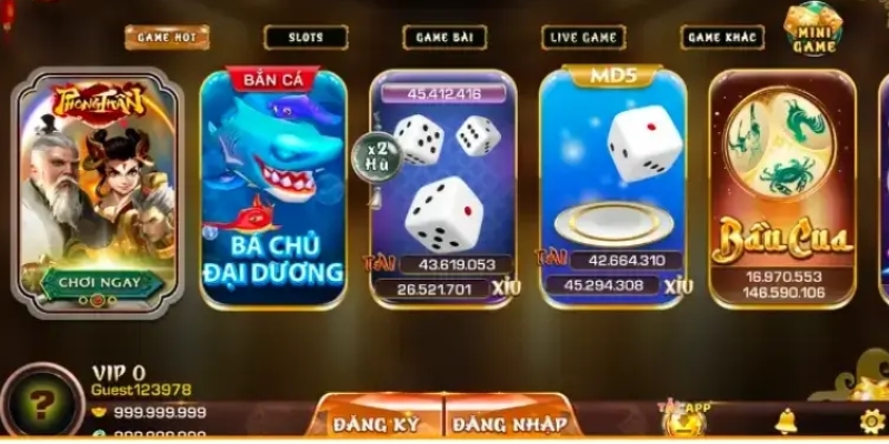 Giới Thiệu Khái Quát Iwin